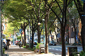 ふくおかの景観クイズ第11問の風景画像