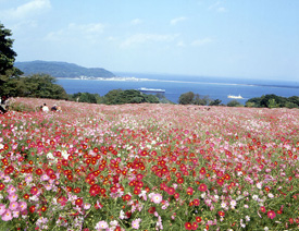 ふくおかの景観クイズ第19問の風景画像
