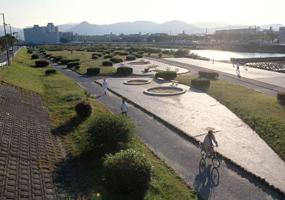 室見川緑地の写真