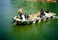 画像:浮遊ごみの清掃