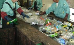 手作業で選別している写真