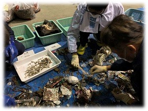 ごみの分類わけの様子