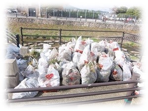 集めたごみの写真２