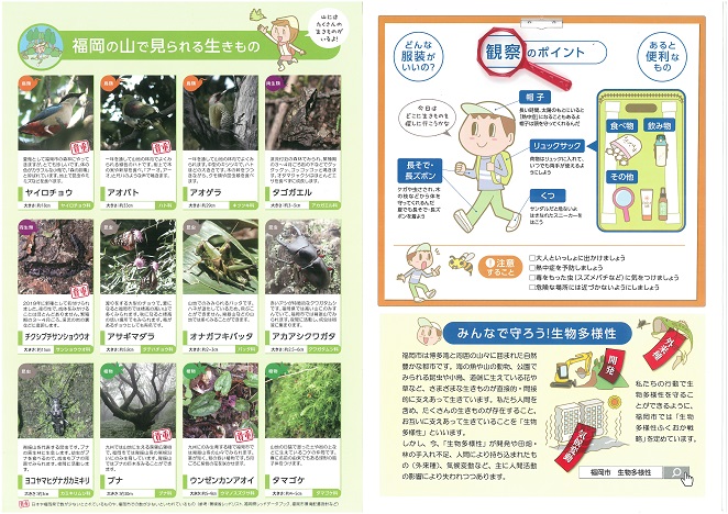 福岡の山で見られる生きもの  