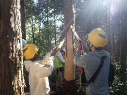 巻き枯らし体験の様子