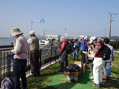 野鳥観察会の様子