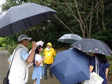 ミニ自然観察会の様子