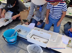 生き物の種類を調べている様子