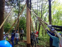 木の皮をはがす様子