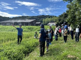 田んぼでの説明の様子