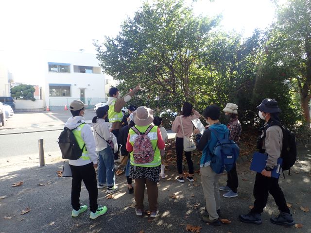 樹木の観察写真