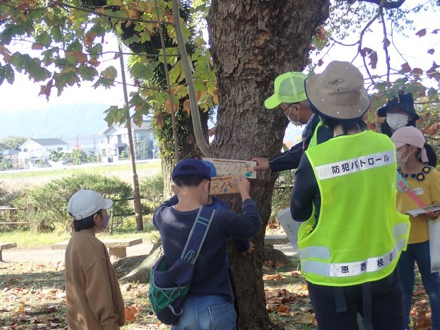 樹木へのネームプレート設置の写真