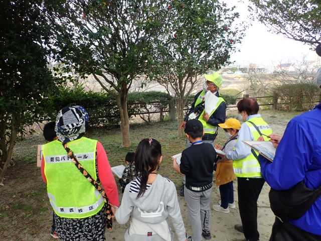 樹木の観察写真