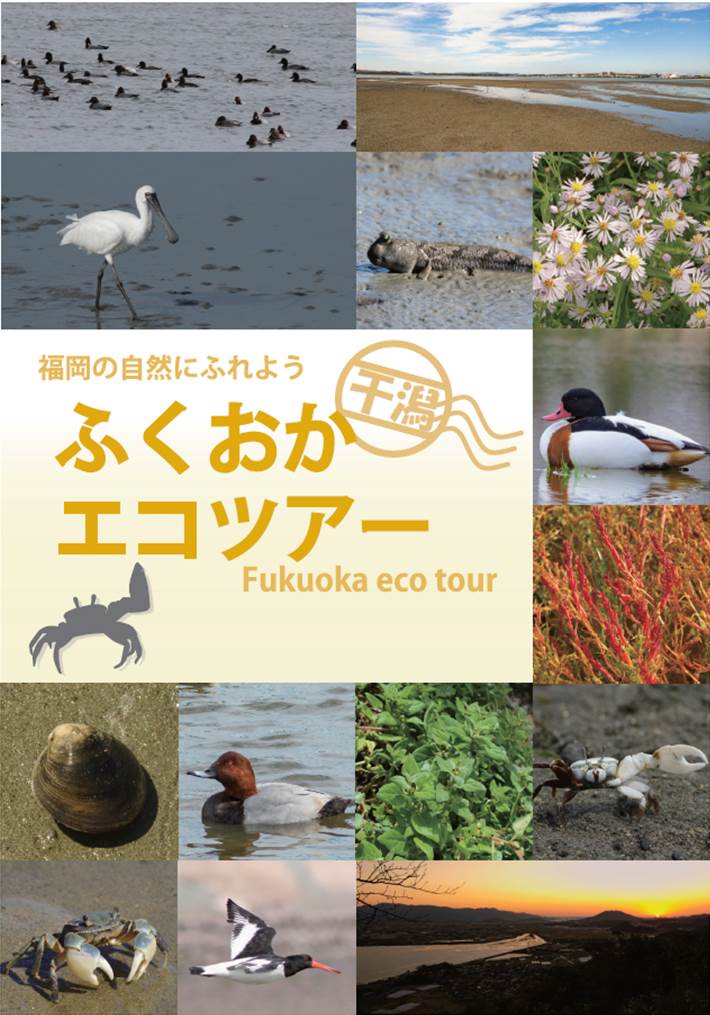 エコツアー干潟編表紙