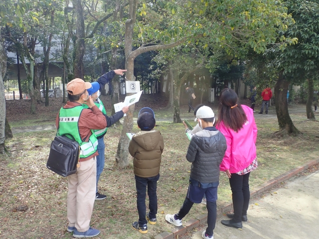 公園にある樹木の説明写真