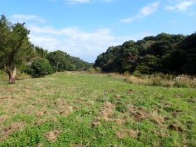 九大生物多様性保全ゾーンの写真