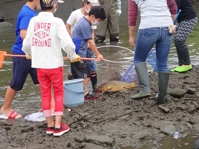 コイを捕まえた写真