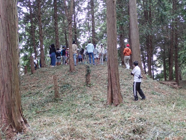 部木八幡宮の古墳写真