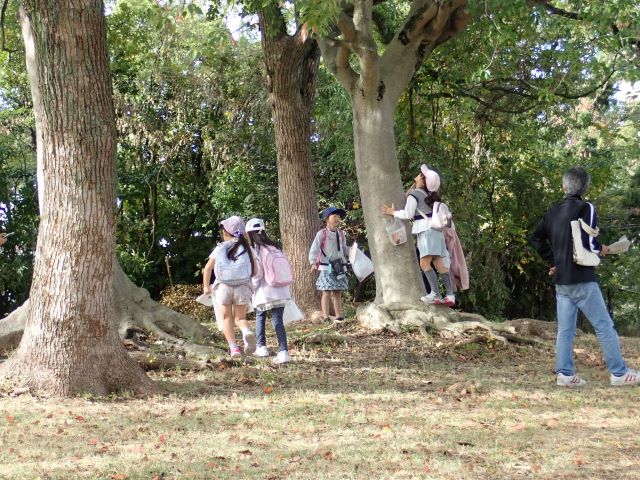 葉っぱ探索の写真1