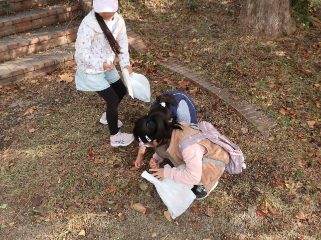 葉っぱ探索の写真2