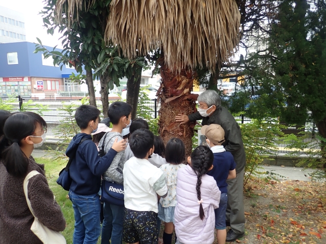 樹木の観察写真1