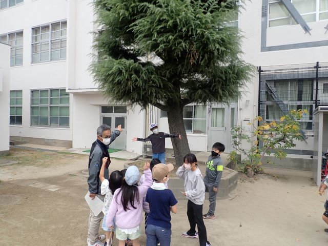 樹木の観察写真2