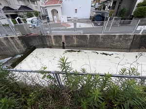塗料が流入した川