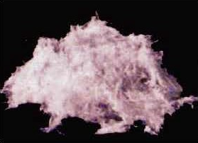 アモサイトの写真