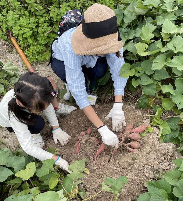 生ごみ堆肥の野菜づくり体験ツアー