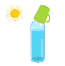 実験方法のイラスト画像4