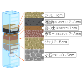 実験方法のイラスト画像4