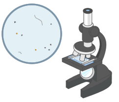 実験結果のイラスト画像