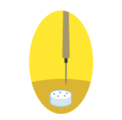 実験方法のイラスト画像1