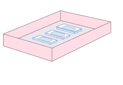 実験方法のイラスト画像2