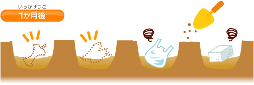 実験結果のイラスト画像