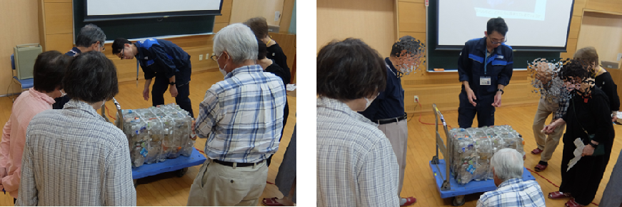 ペットボトルベールを観察する様子