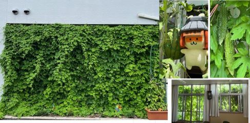 席田会館様の作品