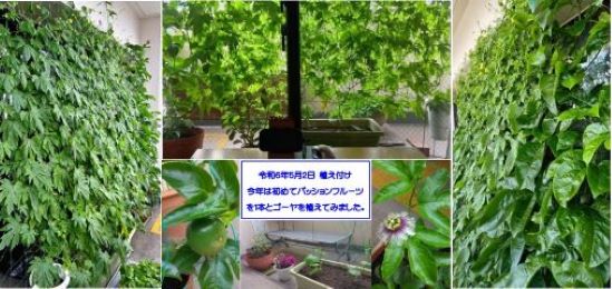 上野幸介様の作品