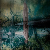 アーティストの画像（HAKU）