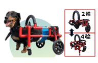 犬の車いす