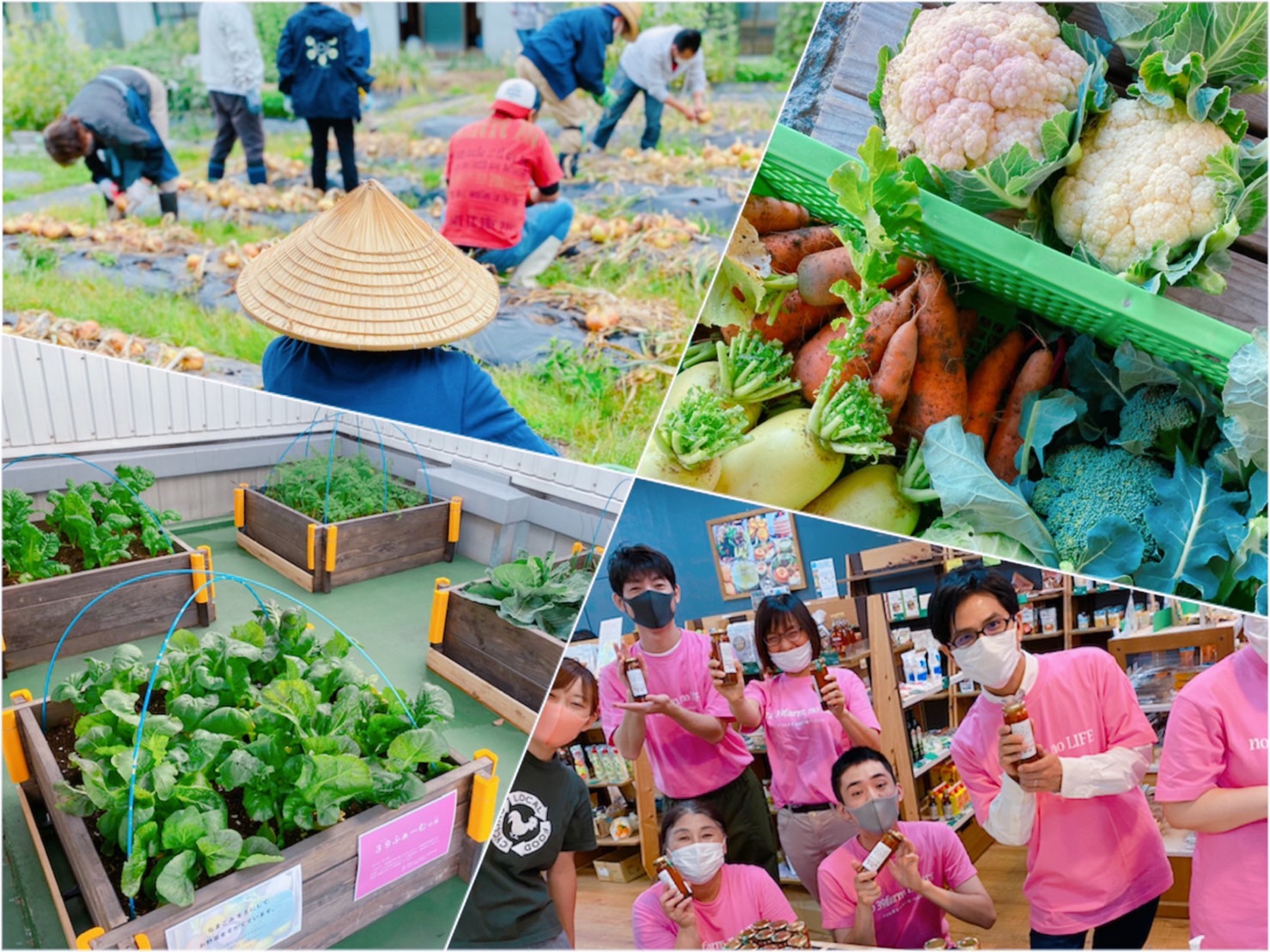 プロジェクトイメージ写真