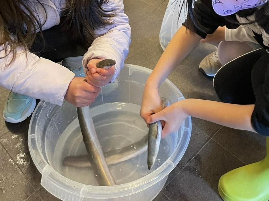 子ども食堂（画像なし用）