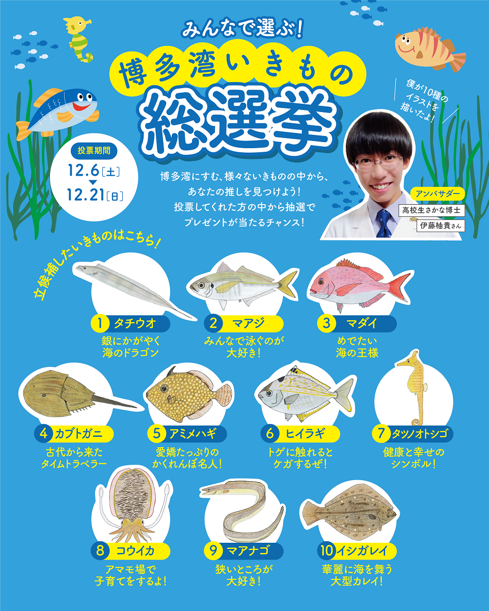 博多湾いきもの総選挙のチラシ