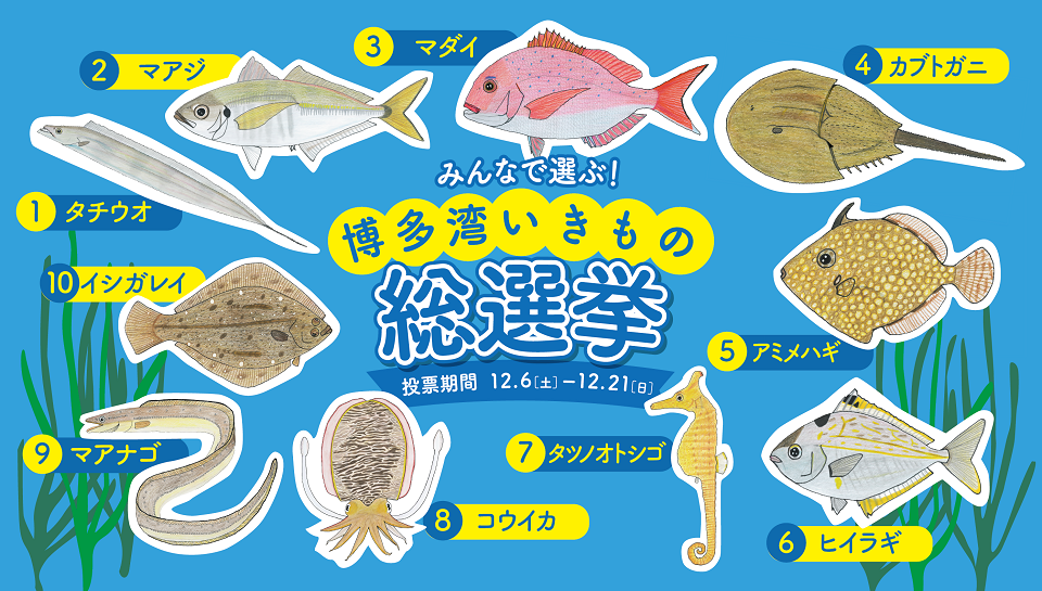 立候補したいきもののイラスト