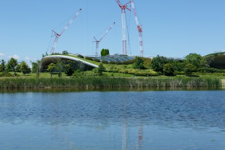 平成26年のアイランドシティ中央公園の様子