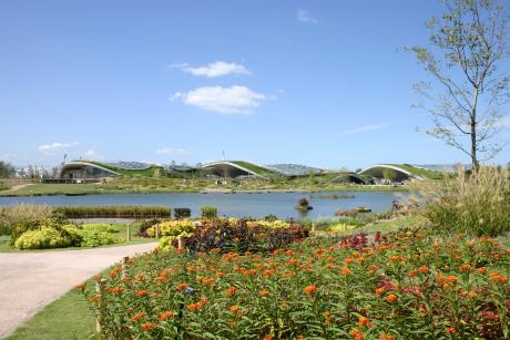 アイランド花どんたく期間中のぐりんぐりん