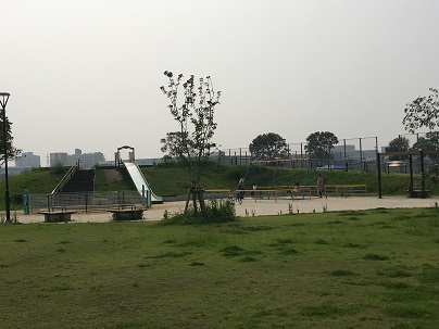 大井中央公園（事例写真２）