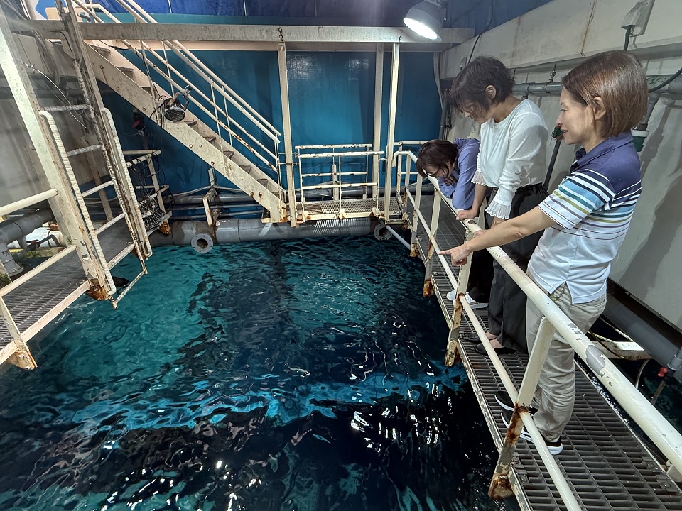 バックヤードツアー