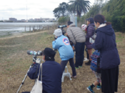バードウオッチングの様子