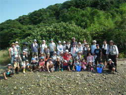 画像：和白干潟の生きものやハマボウを見る会